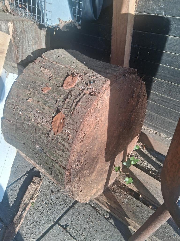 7 gedroogde Eiken stammen 55 x 30 cm, Minder dan 3 m³, Ophalen, Eikenhout, Stammen