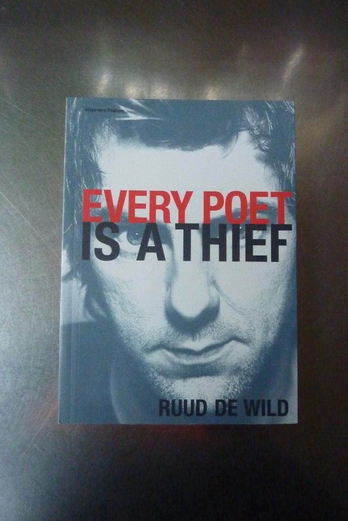 Ruud De Wild - Every Poet Is A Thief, Boeken, Kunst en Cultuur | Beeldend, Zo goed als nieuw, Schilder- en Tekenkunst, Ophalen of Verzenden