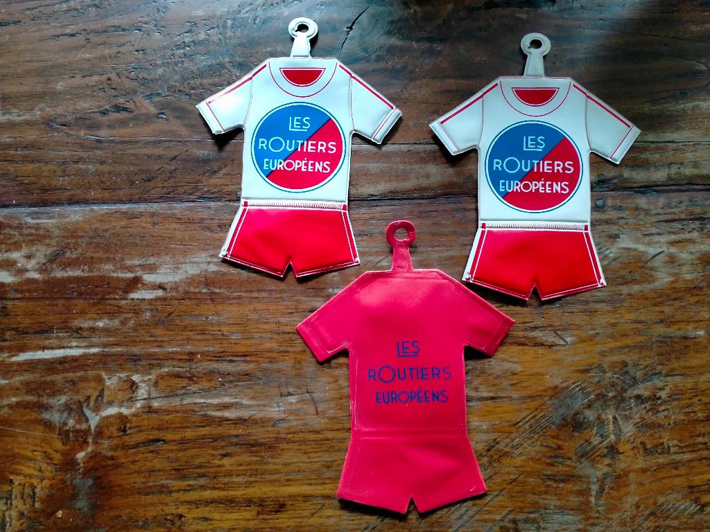 Les Routiers Europeens vrachtwagen vintage vaantje truck, Ophalen of Verzenden, Zo goed als nieuw, Auto's