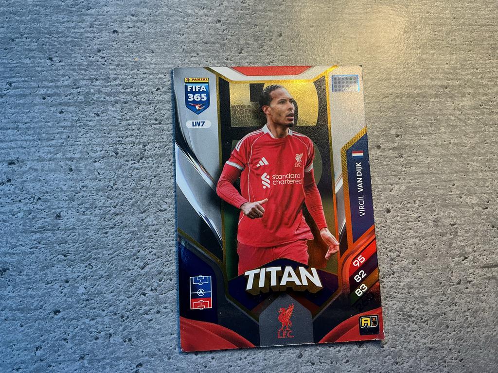 Panini FIFA 365 Adrenalyn XL 2024 Kaarten Virgil en vini, Ophalen, Zo goed als nieuw, Buitenlandse clubs, Spelerskaart