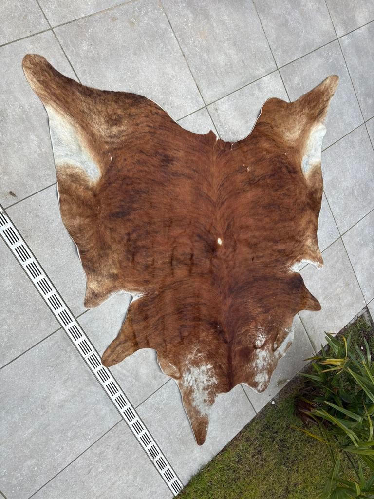 Mooi koeien kleed, Ophalen, Gebruikt, Rechthoekig, 200 cm of meer