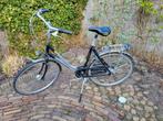 Nette Gazelle dames fiets, Ophalen, Gebruikt, Versnellingen, 56 cm of meer