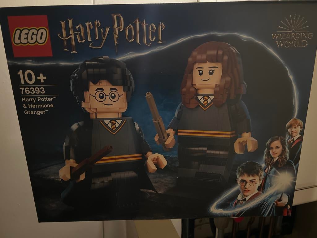 LEGO Harry Potter Harry & Hermelien set 76393, Kinderen en Baby's, Speelgoed | Duplo en Lego, Ophalen of Verzenden, Nieuw, Complete set