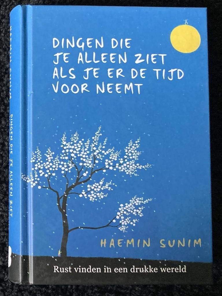 Hoe vind je rust?, Boeken, Ophalen of Verzenden, Zo goed als nieuw, Haemin Sunim