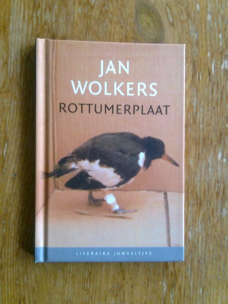 Rottumerplaat, door Jan Wolkers, Boeken, Ophalen of Verzenden, Nieuw