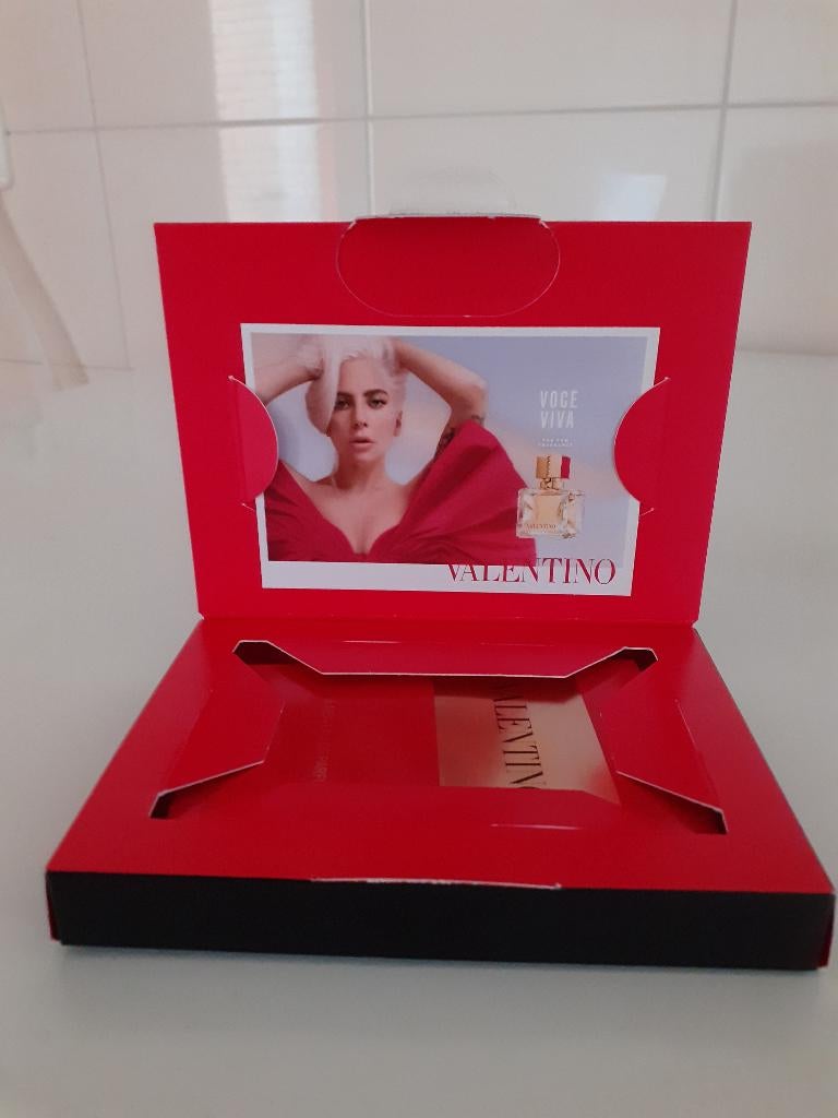 Valentino Lady Gaga in cadeaudoosje en meer, Verzenden, Nieuw, Miniatuur