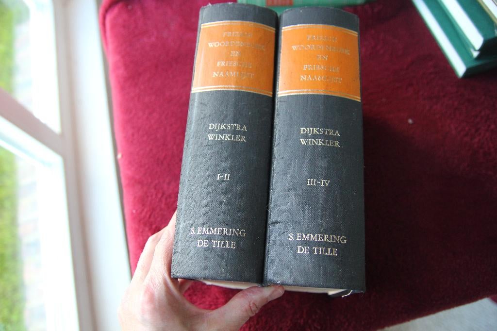 Friesch woordenboek en Friesche naamlijst, Ophalen of Verzenden, Gelezen