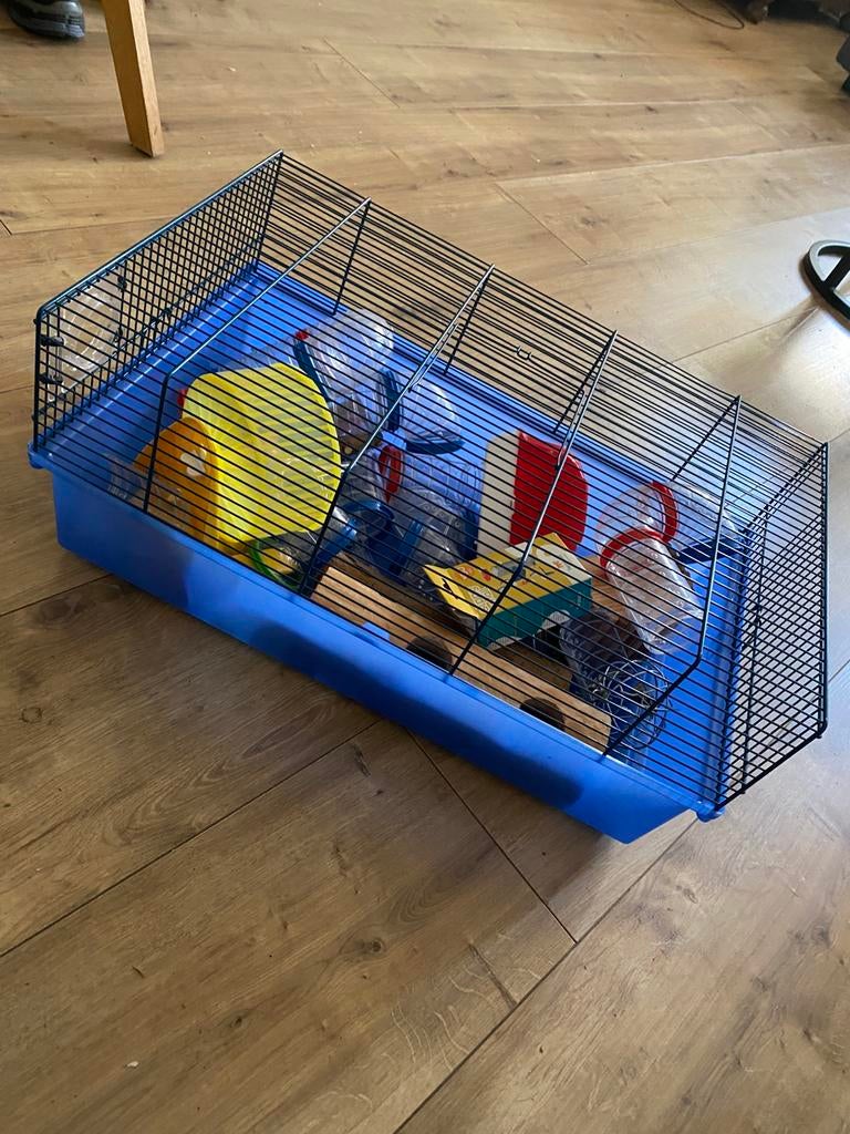 Hamsterkooi met accessoires, Minder dan 60 cm, Kooi, Minder dan 75 cm, Ophalen of Verzenden