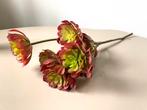 Kunstbloem aeonium arboreum, Ophalen of Verzenden, Zo goed als nieuw