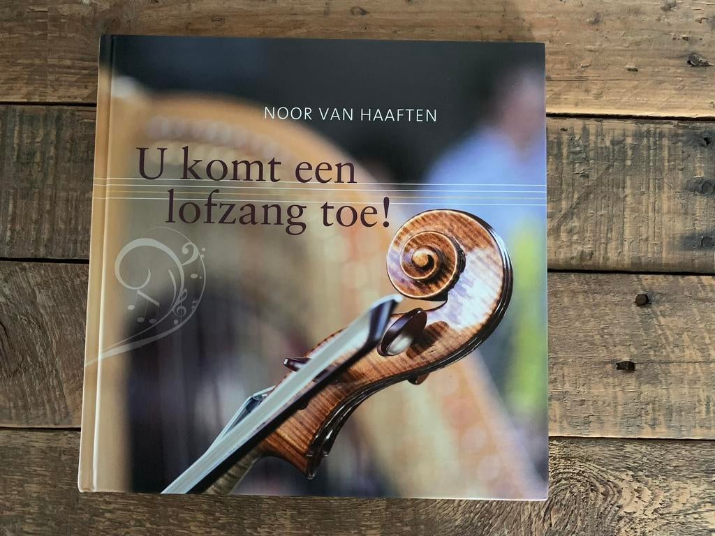 U komt een lofzang toe! van Noor van Haaften, Boeken, Ophalen of Verzenden, Nieuw