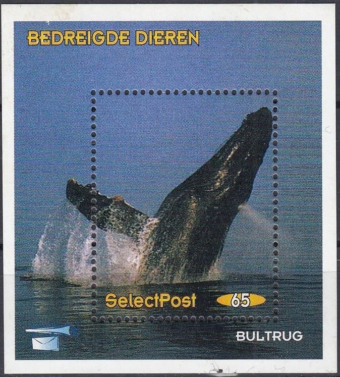 Nederland- 1997- Bedreigde Dieren- Bultrug- Select- Blok- P, Verzenden, Na 1940, Postfris