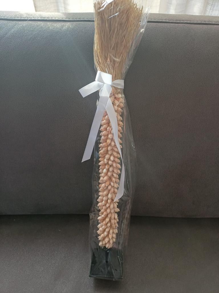 Mooie schelpen decoratie, Ophalen of Verzenden, Nieuw