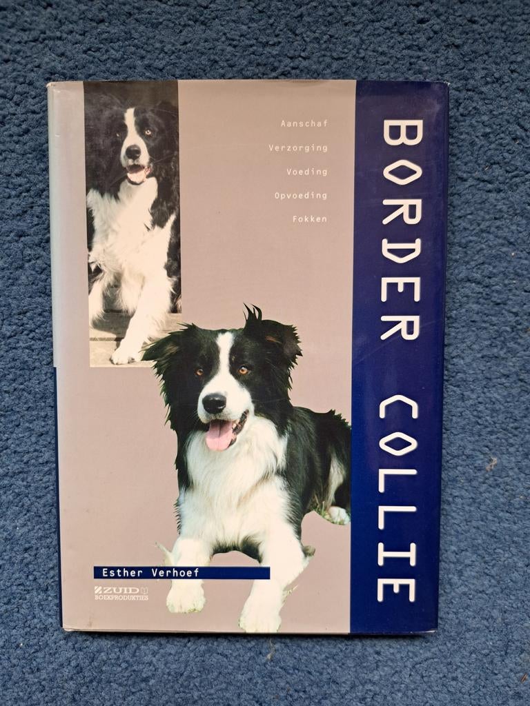 Border Collie - Esther Verhoef, Ophalen, Zo goed als nieuw, Honden, Esther Verhoef