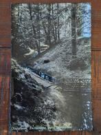 Fotokaart Oosterbeek - Zwitsersche Partij Mariendaal, Ophalen of Verzenden, Gelopen, Gelderland