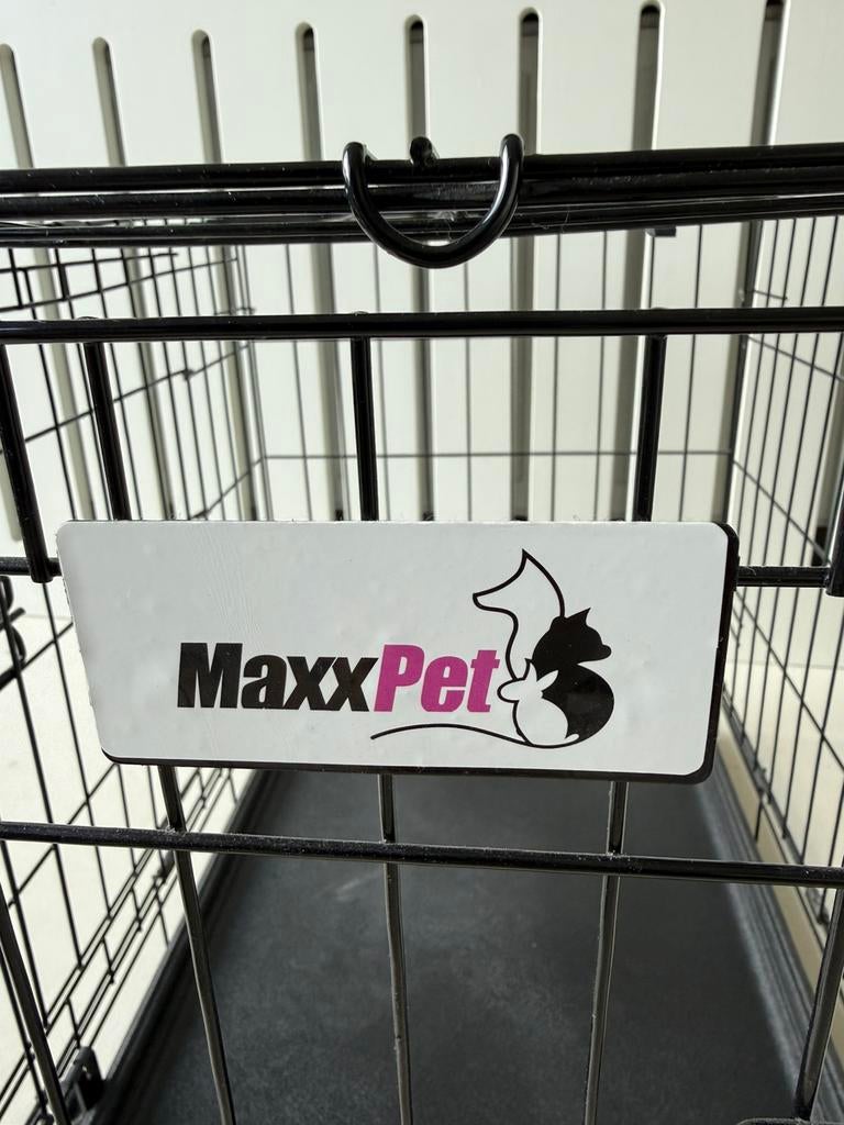 Honden bench Maxxpet, Ophalen, Gebruikt, Minder dan 65 cm, Minder dan 75 cm