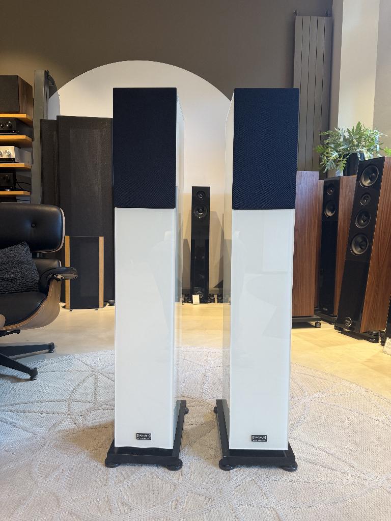 Audio Physic Classic 25, Audio, Tv en Foto, Luidsprekers, Zo goed als nieuw, 120 watt of meer, Front, Rear of Stereo speakers