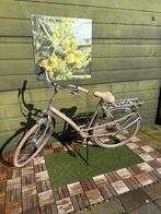 Batavus Mambo damesfiets 57cm, Ophalen, Gebruikt, Versnellingen, Batavus