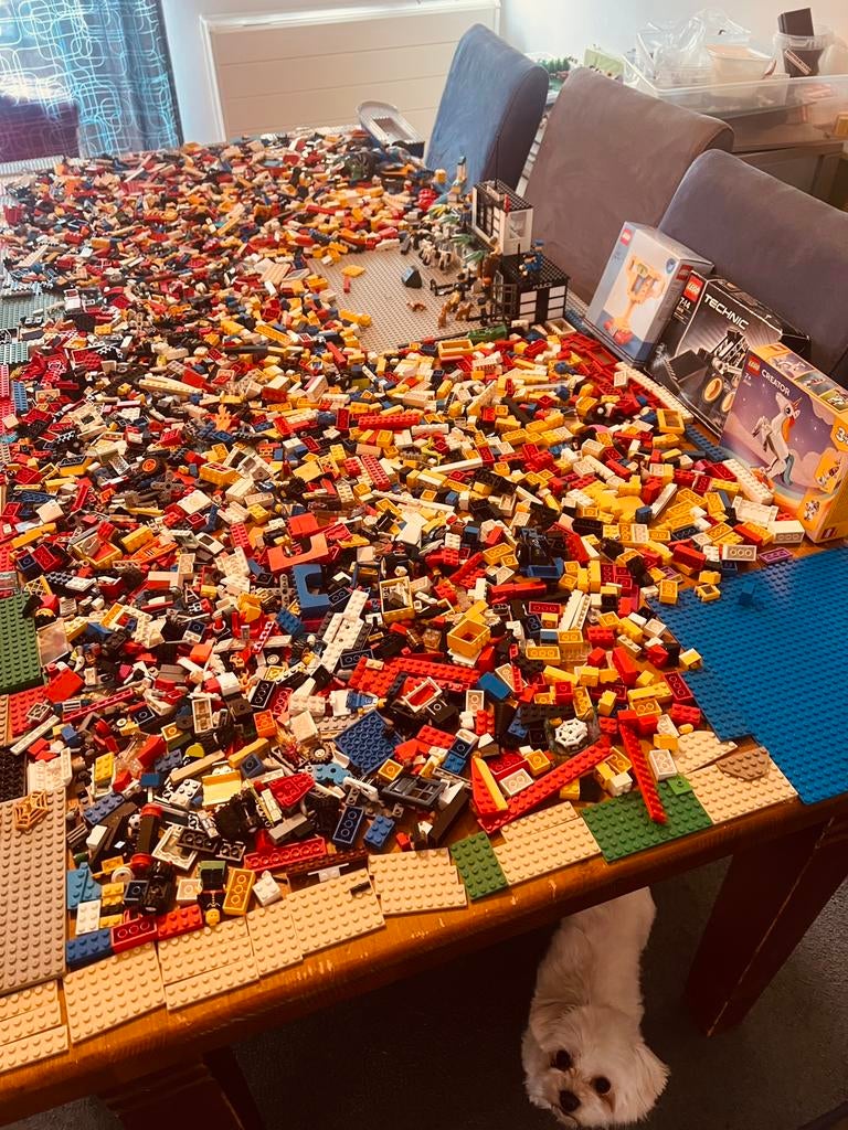 Lego zeer grote partij echte lego, Ophalen of Verzenden, Zo goed als nieuw