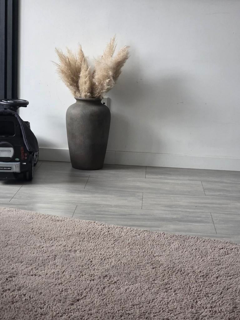 Pampasgras met pot, Ophalen of Verzenden, Overige kleuren, Glas, Minder dan 50 cm