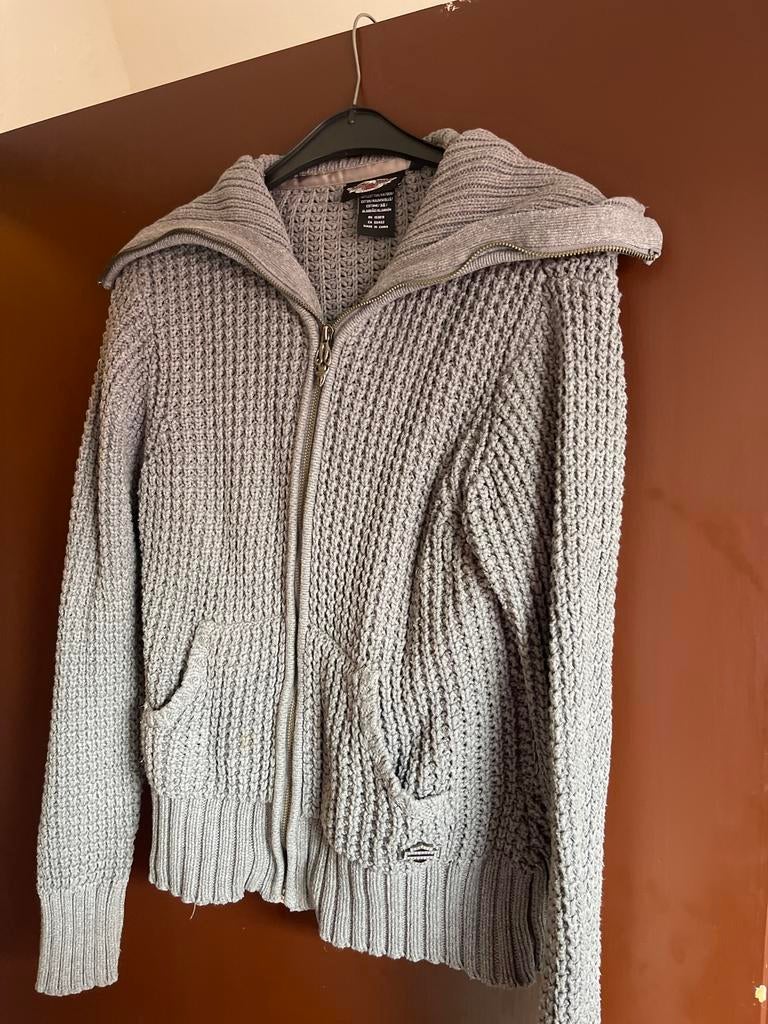 Prachtige Harley Davidson vest grijs mt L, Ophalen of Verzenden, Zo goed als nieuw, Maat 42/44 (L), Grijs