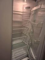 Everglades Koelkast - Goed Onderhouden, Ophalen, 100 tot 150 liter, Energieklasse A of zuiniger, 140 tot 160 cm
