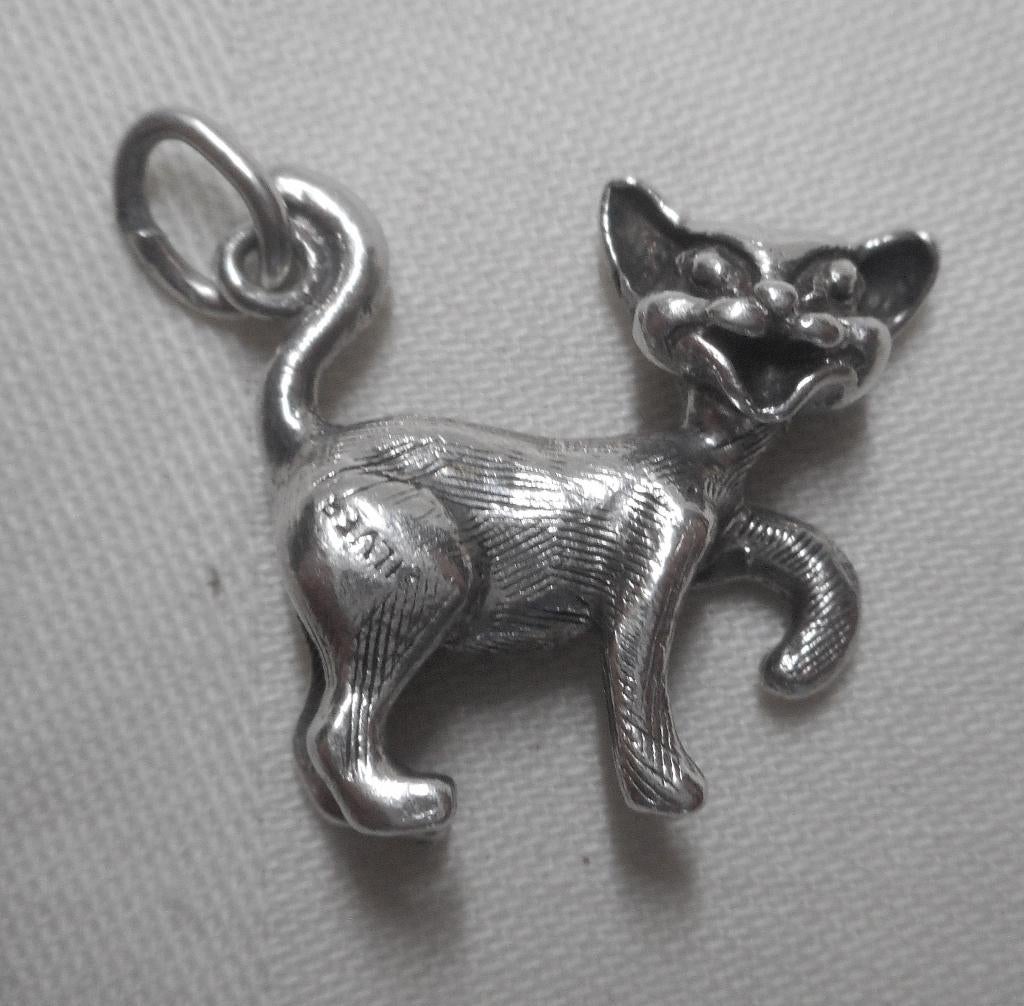 Zilveren massieve vintage hanger poes nr.1018, Verzenden, Zo goed als nieuw, Zilver, Dier