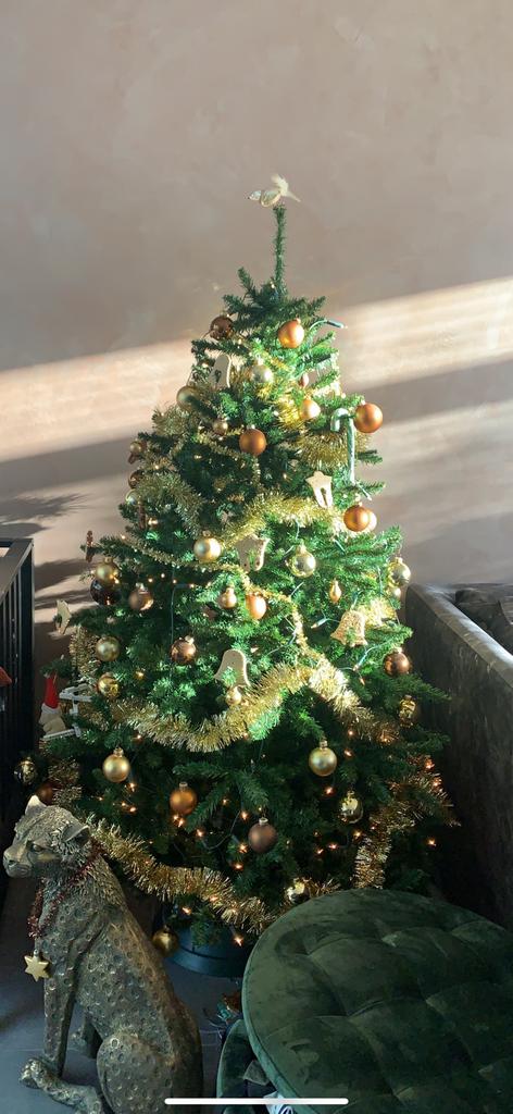 Gratis af te halen/ mooie kerstboom, Diversen, Kerst, Ophalen, Zo goed als nieuw