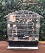 Koppel  catharina  parkiet, Ophalen of Verzenden, Zo goed als nieuw, Hout, Vogelkooi