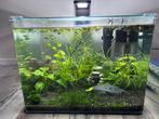 Nano Cube 60 L Nano Kweekbak (Incl. Blauwe garnalen), Dieren en Toebehoren, Ophalen, Zo goed als nieuw, Gevuld zoetwateraquarium