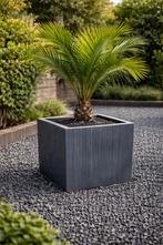 Beton bloembak - geschikt voor bomen, Ophalen, Steen, Vierkant, Nieuw
