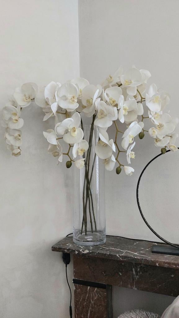 Orchidee zijde bloemen mooie lange takken, Ophalen of Verzenden, Zo goed als nieuw