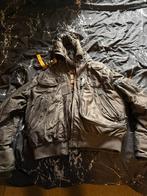 parajumper, Kleding | Heren, Jassen | Winter, Ophalen, Gedragen, Maat 56/58 (XL), Bruin