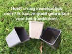 Gratis kweekpotjes gevraagd, Tuin en Terras, Ophalen, Rond, Zo goed als nieuw, Minder dan 40 cm