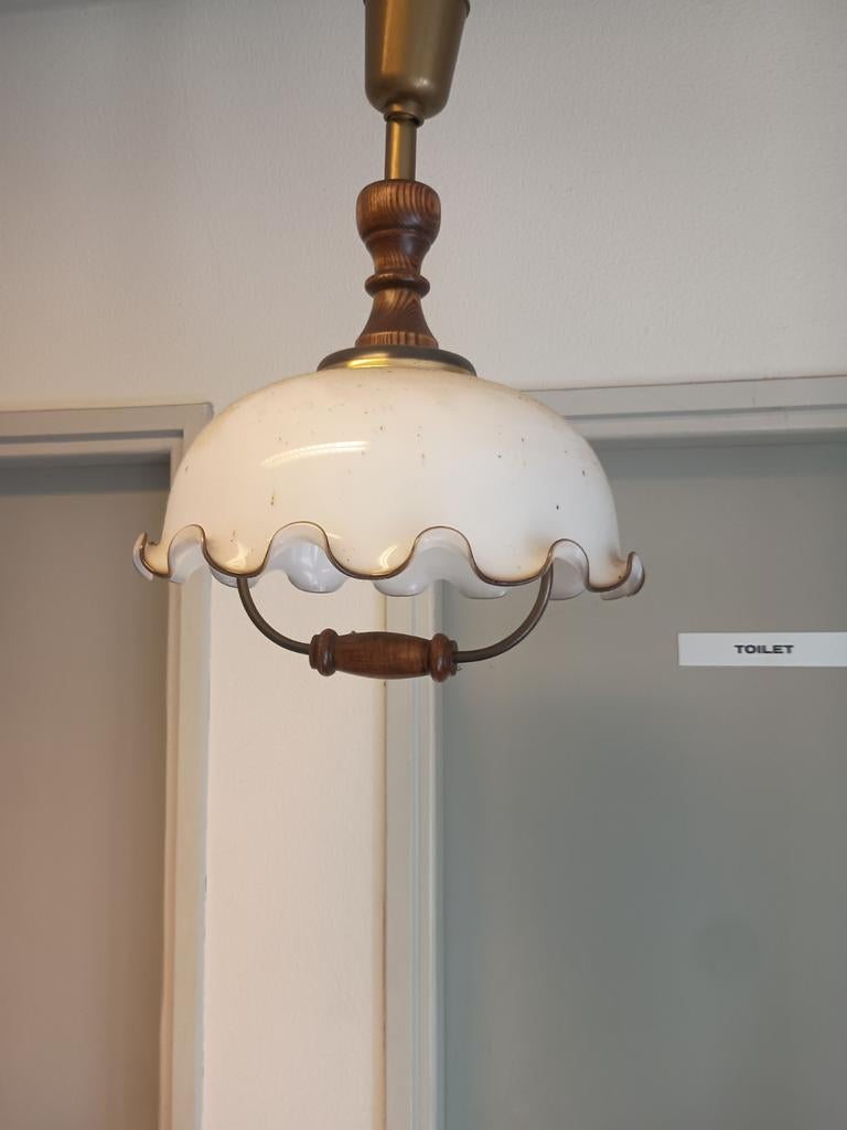Hanglamp, Huis en Inrichting, Ophalen, Gebruikt, Minder dan 50 cm