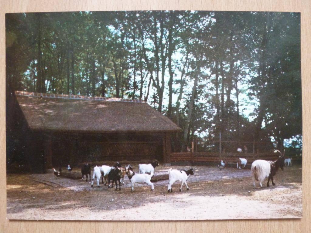 Ansichtkaart ansicht kaart postcard - Hoofddorp - Hertenkamp, Ophalen of Verzenden, 1980 tot heden, Ongelopen, Noord-Holland