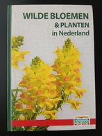 Wilde Bloemen & Planten in Nederland  -, Ophalen of Verzenden, Nieuw