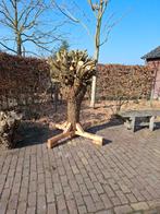 Afgezaagde knotwilg - Decoratie/Aankleding, Ophalen, Gebruikt