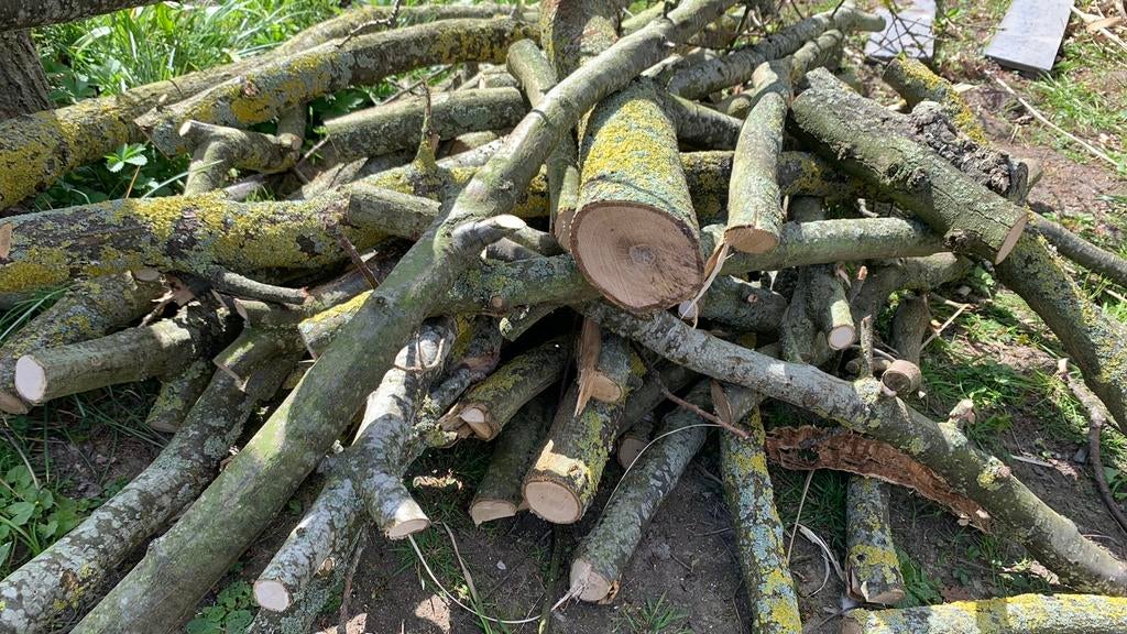 Eikenhouten stammetjes, Tuin en Terras, Haardhout, Minder dan 3 m³, Ophalen, Eikenhout