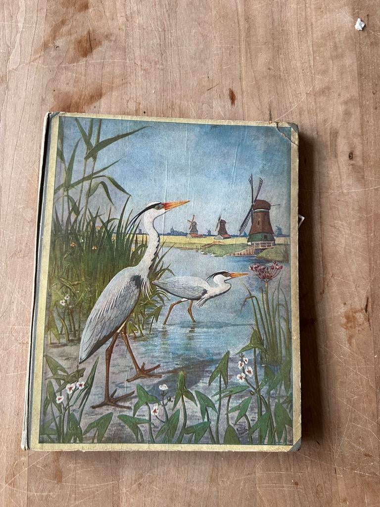 Verkade albums en natuurboeken - Diverse auteurs, Boeken, Natuur, Ophalen of Verzenden, Gelezen, Natuur algemeen