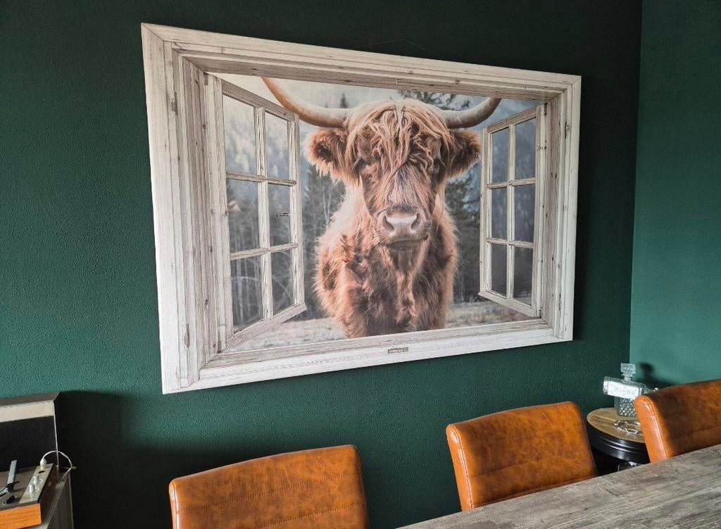 Schotse Hooglander Canvas - Blikvanger!, Gebruikt, 125 cm of meer, Ophalen of Verzenden, Print
