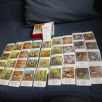 Kwartet Aquarium  nr 2 van Jumbo, Verzamelen, Ophalen of Verzenden, Zo goed als nieuw, Kwartet(ten)