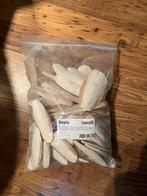 Zak sepia, Overige soorten