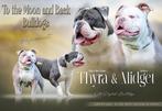 Old english bulldog pups, Dieren en Toebehoren, Honden | Bulldogs, Pinschers en Molossers, 8 tot 15 weken, Bulldog, Meerdere, Meerdere dieren