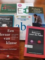 Studieboeken pabo, Boeken, Ophalen of Verzenden, Zo goed als nieuw