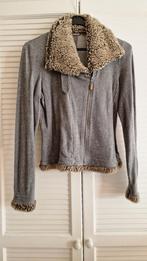 Sandwich Vest maat S, Kleding | Dames, Truien en Vesten, Ophalen, Zo goed als nieuw, Maat 36 (S), Grijs