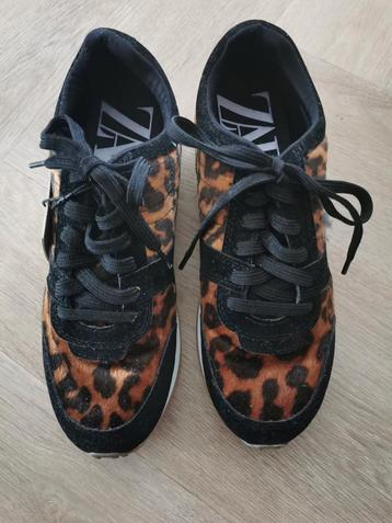 ZARA sneakers met dierenprint mt. 39 beschikbaar voor biedingen