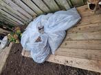 Enorm veel schelpen voor in de tuin. Gratis!, Tuin en Terras, Ophalen