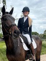 Projectpaard/coachingspaard/weidemaatje, Dieren en Toebehoren, Paarden, Ruin, Recreatiepaard