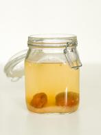 Biologische Waterkefir, Diversen, Levensmiddelen, Ophalen of Verzenden