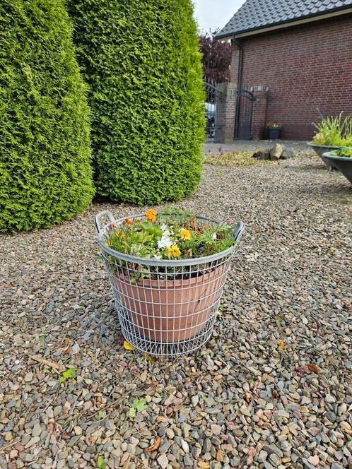 Te koop mooie potten met bloemen., Tuin en Terras, Planten | Struiken en Hagen, Minder dan 100 cm, Ophalen